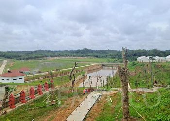 Polemik Pembebasan Lahan di IKN, Pemerintah Lakukan Sosialisasi Setelah Diprotes dan Dikritik » Warga Berita