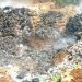 Pusing dengan Menjamurnya TPA Sampah Ilegal, Ini Tindakan Pemkab Gunungkidul » Warga Berita