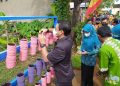 Dinperpa Kota Pekalongan Bagi-bagi Bibit Tanaman Gratis 12 Dinperpa Kota Pekalongan Bagi-bagi Bibit Tanaman Gratis