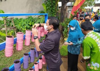 Dinperpa Kota Pekalongan Bagi-bagi Bibit Tanaman Gratis