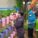 Dinperpa Kota Pekalongan Bagi-bagi Bibit Tanaman Gratis