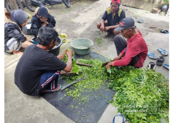 Mahasiswa MBKM UNS dan Kelompok Tani di Desa Kemudo, Klaten Ciptakan Solusi Pengendalian Hama dari Buah Maja – Universitas Sebelas Maret