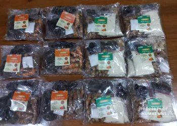 Prodi S1 dan S2 Pendidikan Kimia UNS Gelar Pengabdian Internasional di Brunei Darussalam Tentang Jamu – Universitas Sebelas Maret