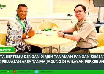 Gempita Bertemu dengan Dirjen Tanaman Pangan Kementan Bahas Peluasan Area Tanam Jagung di Wilayah Perkebunan Sawit 1 Gempita Bertemu dengan Dirjen Tanaman Pangan Kementan Bahas Peluasan Area Tanam Jagung di Wilayah Perkebunan Sawit