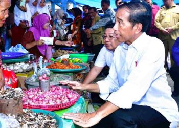 Usai Ikut Kunker Presiden, M Qodari Ungkap Rahasia Energi Jokowi
