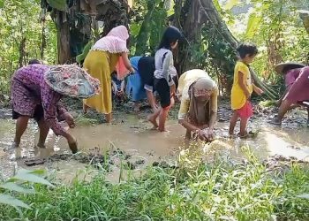 Puluhan Tahun Rusak, Warga Lebak Tanam Padi di Jalan Rusak – Warga Berita