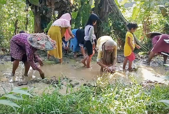 Puluhan Tahun Rusak, Warga Lebak Tanam Padi di Jalan Rusak – Warga Berita 1 Puluhan Tahun Rusak, Warga Lebak Tanam Padi di Jalan Rusak – Warga Berita