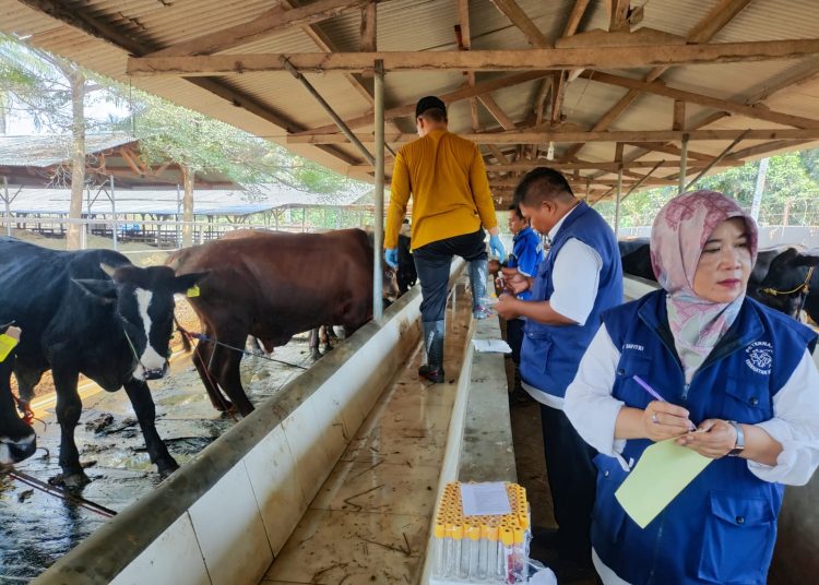 DKPP Bakal Pantau dan Periksa Lapak Hewan Kurban di Cilegon – Warga Berita 1 DKPP Bakal Pantau dan Periksa Lapak Hewan Kurban di Cilegon – Warga Berita