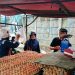 Harga Telur Melonjak di Pasar Rangkasbitung, Capai Rp 35 Ribu per Kilogram – Warga Berita 8 Harga Telur Melonjak di Pasar Rangkasbitung, Capai Rp 35 Ribu per Kilogram – Warga Berita