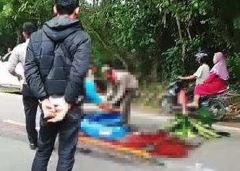 Gagal Nyalip, Wanita Hamil di Lebak Tewas Terlindas Truk – Warga Berita