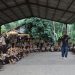 Peringati Hari Keanekaragaman Hayati, Komunitas Kebumen Mengajar Gandeng YSAB 8 Peringati Hari Keanekaragaman Hayati, Komunitas Kebumen Mengajar Gandeng YSAB