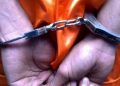 Sudah Ayam Curian Lepas, Pencuri di Bantul Ini Dibekuk dan Diamankan Polisi » Warga Berita