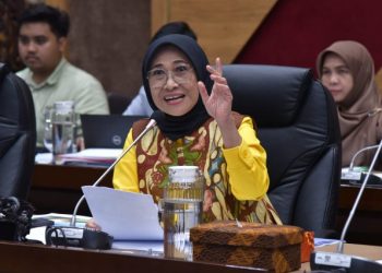 Hetifah Soal Plagiarisme Skripsi Mahasiswa Unsri Oleh Mahasiswa UMP: Gelar Bisa Dicabut!