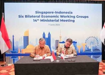 Airlangga Hartarto Keluarkan Kebijakan Multiple Entry Visa Untuk Permudah Tenaga Ahli Singapura Bekerja di RI