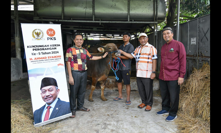 Kunker ke Dapil, Syaikhu Salurkan Hewan Kurban ke Beberapa Tempat 1 Kunker ke Dapil, Syaikhu Salurkan Hewan Kurban ke Beberapa Tempat
