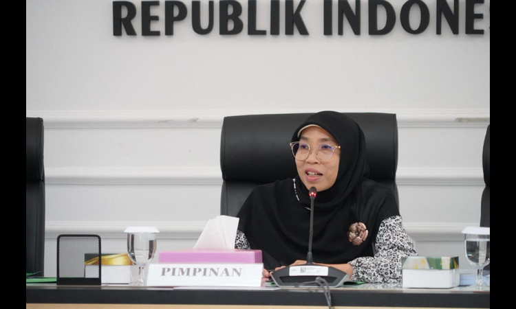 UU KIA, Ketua DPP PKS: Pastikan Berdampak pada Penurunan Stunting