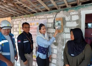 Dyah Roro Esti Ungkap Ada 6,1 Juta Pelanggan Yang Tak Berhak Dapat Subsidi Listrik