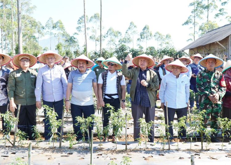 Muhammadiyah Dorong Pemerintah Ciptakan Kebijakan yang Berpihak ke Petani Indonesia