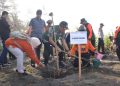 Cegah Abrasi dan Tsunami, Pemkab Cilacap Tanam 1.600 Bibit Pohon di Pantai Widarapayung