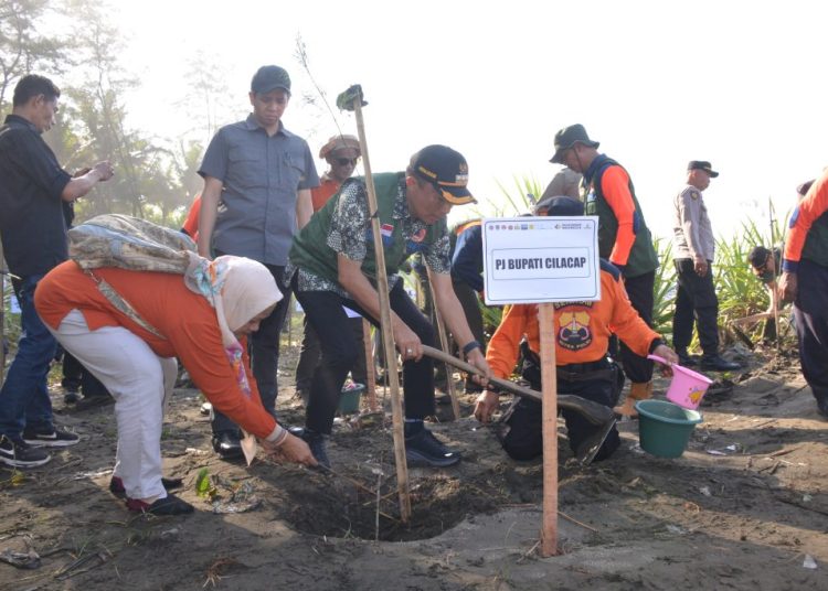Cegah Abrasi dan Tsunami, Pemkab Cilacap Tanam 1.600 Bibit Pohon di Pantai Widarapayung