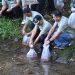 Kabupaten Karanganyar | Hari Lingkungan Hidup Sedunia | 8 Kabupaten Karanganyar | Hari Lingkungan Hidup Sedunia |