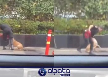 Video Anjing Penjaga Dipukul Sekuriti Viral, Plaza Indonesia Minta Maaf