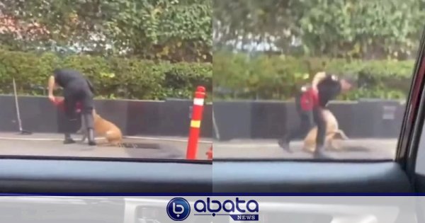 Video Anjing Penjaga Dipukul Sekuriti Viral, Plaza Indonesia Minta Maaf 1 Video Anjing Penjaga Dipukul Sekuriti Viral, Plaza Indonesia Minta Maaf