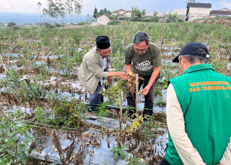 Mentransformasi Muhammadiyah sebagai Gerakan Kedaulatan Pangan