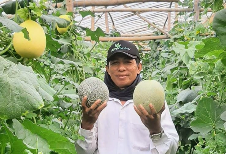 Sukses Kembangkan Melon Premium, Petani Desa Kedungtulup Buka Wisata Edukasi Petik Melon 1 Sukses Kembangkan Melon Premium, Petani Desa Kedungtulup Buka Wisata Edukasi Petik Melon