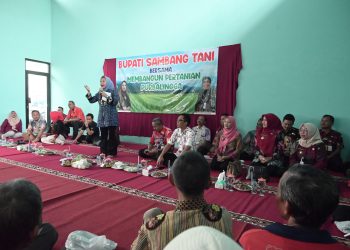 Temui Para Petani Kecamatan Kota, Bupati Serap Aspirasi Kebutuhan Pertanian