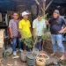 Satresnarkoba Polres Brebes  Bongkar Budidaya Tanaman Ganja di Atap Rumah