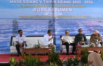 Budhy Setiawan: Pengelolaan Budidaya Udang di Kebumen Bisa Jadi Contoh Pola Modern