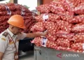 Balai Karantina Kalsel Sita 7,2 Ton Bawang Bombay Ilegal
