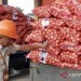 Balai Karantina Kalsel Sita 7,2 Ton Bawang Bombay Ilegal 9 Balai Karantina Kalsel Sita 7,2 Ton Bawang Bombay Ilegal