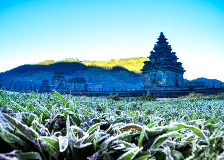 Embun Beku Dieng 2024 Sudah Datang Lagi