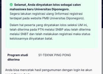 undip direntas