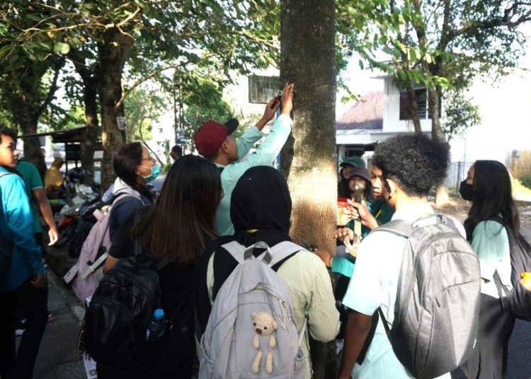 Kegiatan Orientasi Mahasiswa Baru UKSW: Mencabut Paku di Pohon Kota Salatiga