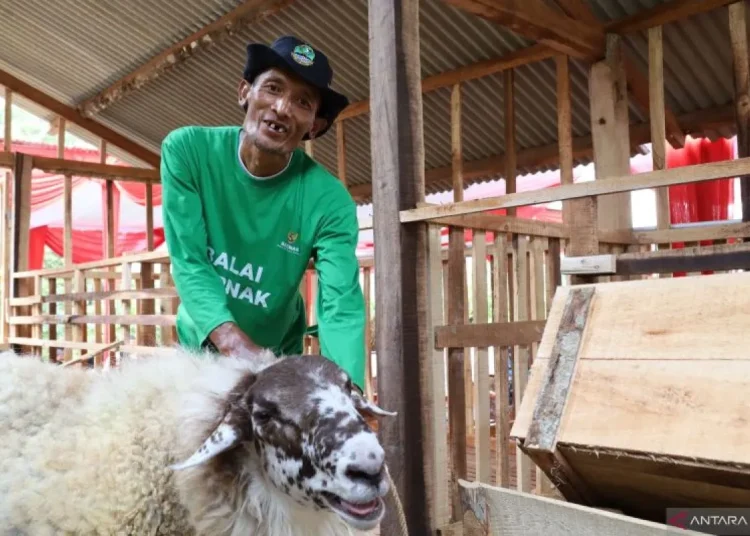 balai ternak baznas