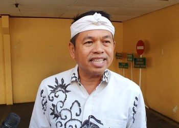 dedi mulyadi