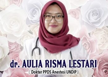ppds undip