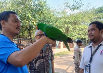 Yoyok Sukawi Kunjungi Semarang Zoo