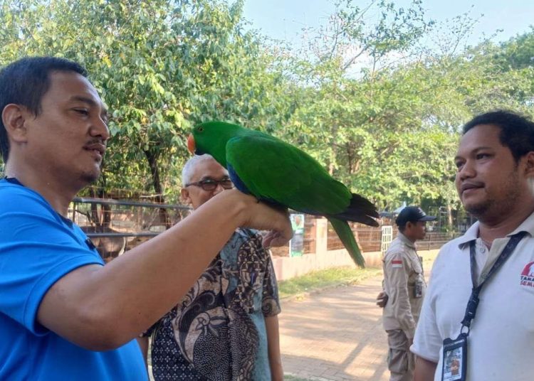 Yoyok Sukawi Kunjungi Semarang Zoo: Bisa Dikembangkan 1 Yoyok Sukawi Kunjungi Semarang Zoo