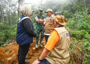 petungkriyono