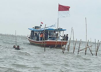 KKP Ambil Tindakan Tegas Terkait Pemagaran Laut Ilegal di Bekasi 2 KKP Ambil Tindakan Tegas Terkait Pemagaran Laut Ilegal di Bekasi