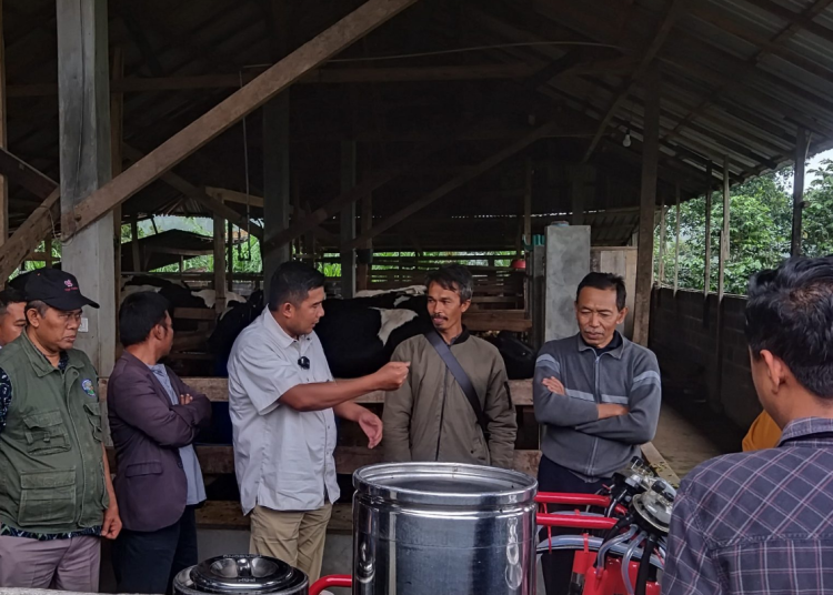 Wakil Ketua DPRD Jateng Tinjau Peternakan Sapi Perah di Batang, Dukung Peningkatan Produksi Susu Unggulan