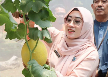 Pekalongan Genjot Smart Farming untuk Tarik Minat Generasi Muda Bertani