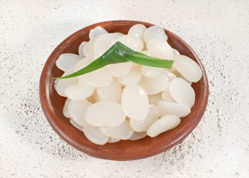 kolang kaling