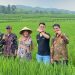 Unsoed Perkenalkan Padi Protani, Varietas Unggul Tahan Kekeringan untuk Ketahanan Pangan 9 Unsoed Perkenalkan Padi Protani, Varietas Unggul Tahan Kekeringan untuk Ketahanan Pangan
