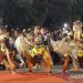 Ratusan Seniman Jaran Kepang Temanggung Meriahkan Hari Tari Sedunia 2025 dengan Tarian Kolosal 8 Ratusan Seniman Jaran Kepang Temanggung Meriahkan Hari Tari Sedunia 2025 dengan Tarian Kolosal