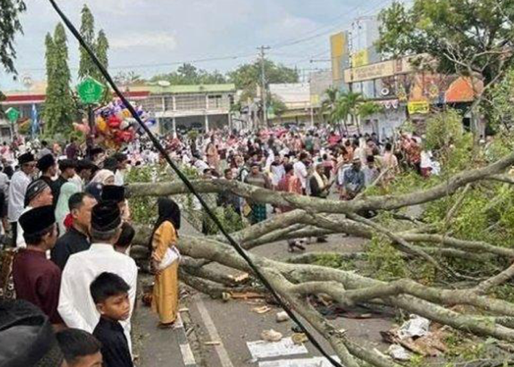 Korban Meninggal Akibat Pohon Beringin Tumbang di Alun-alun Pemalang Bertambah 3 Orang